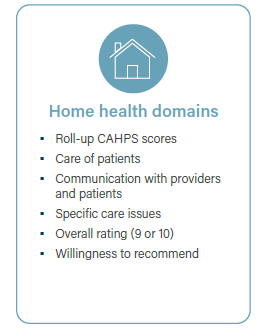 Home Health Domains Quality Improvement Project Home Health Domains